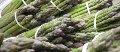 asparagus bunches